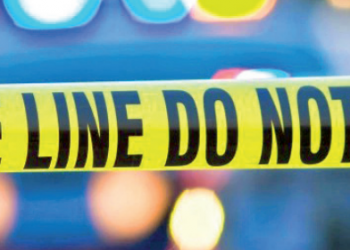 Se baja de su auto a ver perro atropellado y lo arrolla de muerte un camión