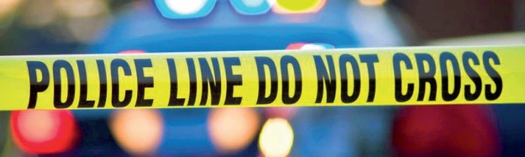 Se baja de su auto a ver perro atropellado y lo arrolla de muerte un camión