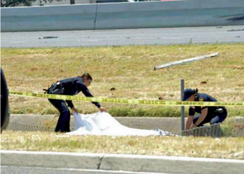 Se pierden miles de vidas en carreteras de Texas: TxDOT