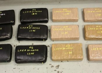 Impide la policía compra-venta de más de 14 kilos de cocaína