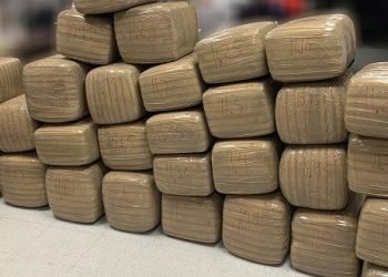 Cae trailero con más de 700 libras de mariguana