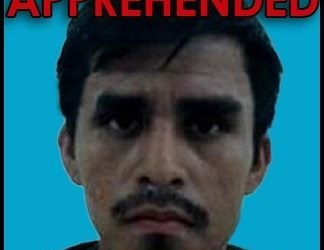 Arrestan a otro delincuente sexual, tras reingresar a Estados Unidos