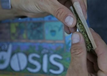 El ABC para entender el nuevo Consejo Cannábico Nacional