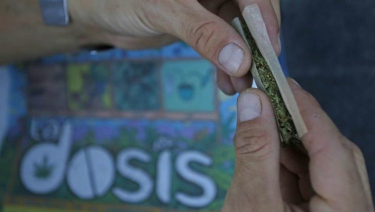 El ABC para entender el nuevo Consejo Cannábico Nacional