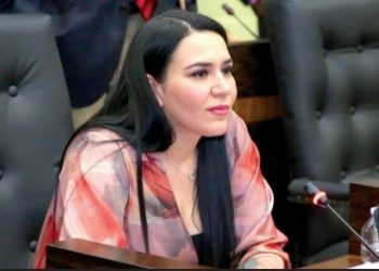 Yahleel Abdala anuncia su adhesión al PAN