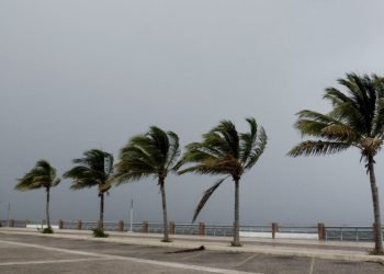Concluye temporada de ciclones tropicales, pero Conagua no descartan que haya más