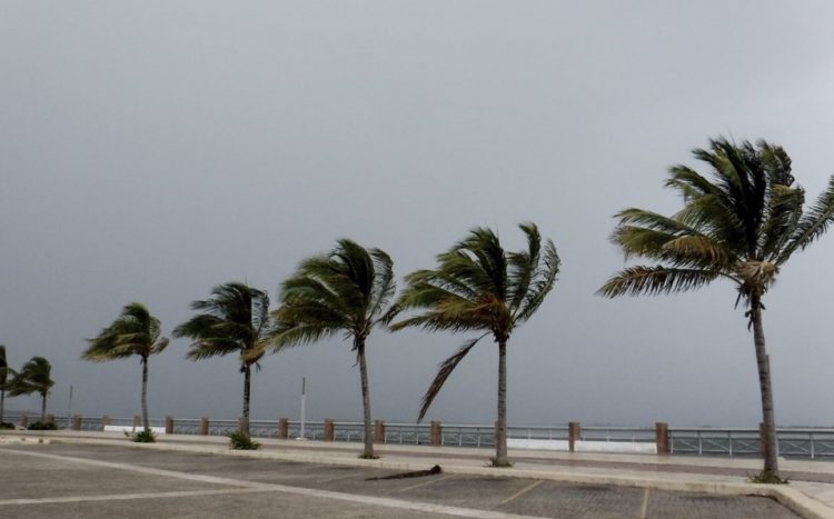 Concluye temporada de ciclones tropicales, pero Conagua no descartan que haya más