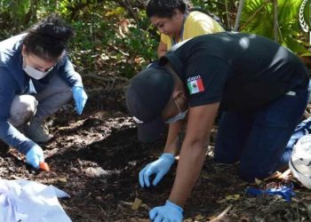 Iban a pedir trabajo y ya no regresaron 13 albañiles en Cancún