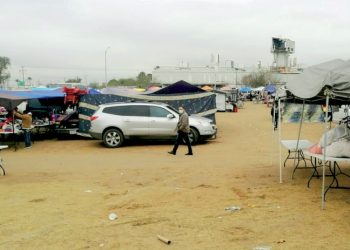 Están ‘pulgas’ a punto de colapsar