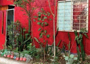 Sospechoso de covid muere en casa, cuerpo se queda ahí por horas