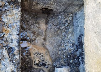 Grasas y aceites: factores de riesgo en obstrucción de tuberías