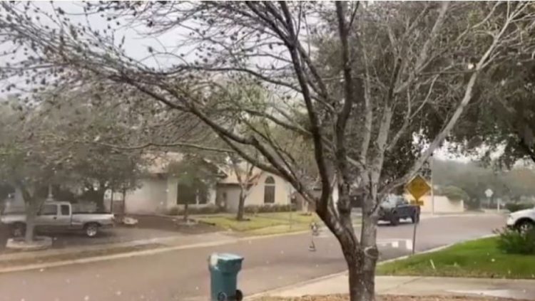 Declaran a Laredo zona de desastre