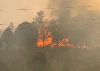 Incendio en sierra de Arteaga ha consumido más de 3 mil 500 hectáreas