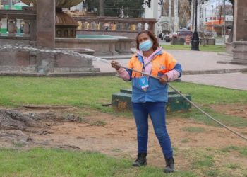 Extienden otro mes programa de empleo temporal