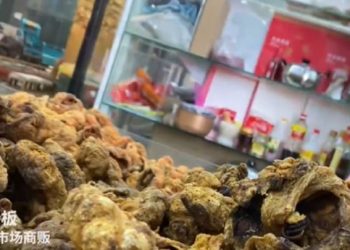 El lucrativo negocio de las placentas en China: 167 euros por kilo y mejor si son de niño