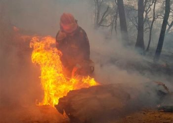 Indagan a familia por el incendio entre NL y Coahuila