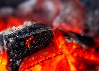 Prohibirán hacer carnita asada en la Sierra Artega; filtros de acceso no serán retirados