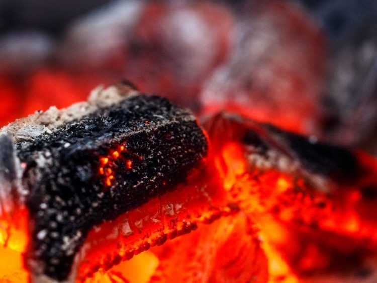 Prohibirán hacer carnita asada en la Sierra Artega; filtros de acceso no serán retirados