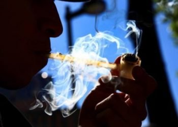 Regulación de la marihuana podría causar un aumento en su consumo: Consejo Mexicano del Cannabis