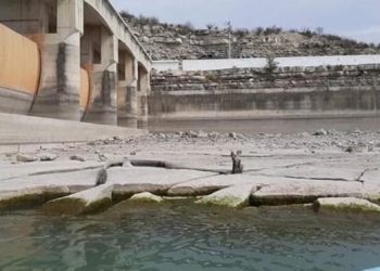 Sequía va en serio; están presas Falcón al 17% y La Amistad al 36%