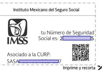 ¿Cómo tramitar tu número de seguridad social?