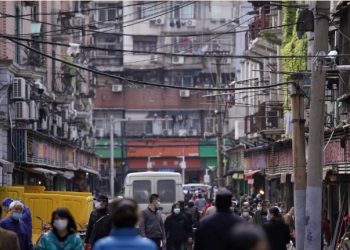 Informe de OMS y China sobre origen de la pandemia reafirma hipótesis de contagio por animales