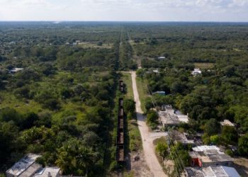 Jueza concede tres suspensiones definitivas contra el Tren Maya
