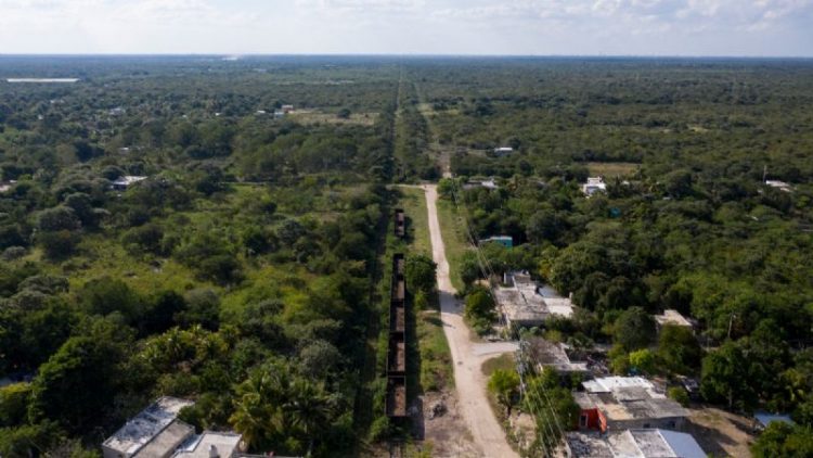 Jueza concede tres suspensiones definitivas contra el Tren Maya