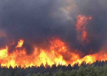 Identifican a vecinos que armaron carne assada y provocaron incendios en Coahuila y Nuevo León