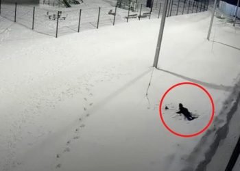 Un niño sobrevivió a una caída desde el piso 12 en Rusia (VIDEO)