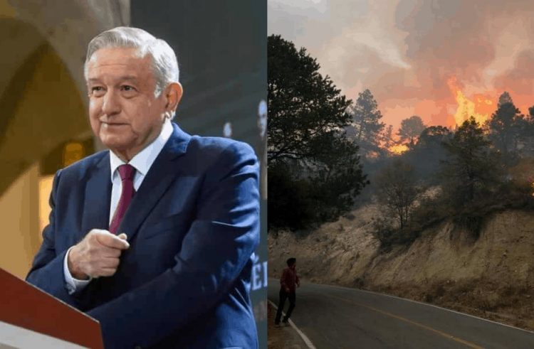 ‘No soy de irme a tomar fotos’: AMLO sobre incendios