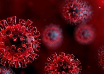 Confirman primer caso de Cepa Británica en Guanajuato