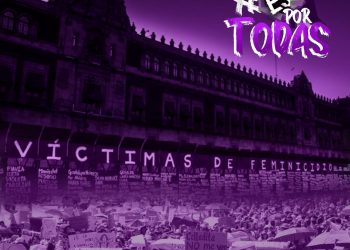 El gobierno central carente de empatía y solidaridad con las mujeres: PAN