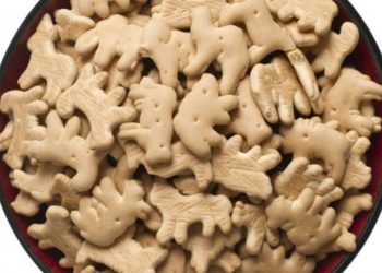 Veganos piden prohibir las galletas de animalitos por «incitar al maltrato animal»