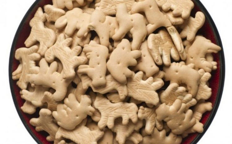 Veganos piden prohibir las galletas de animalitos por «incitar al maltrato animal»