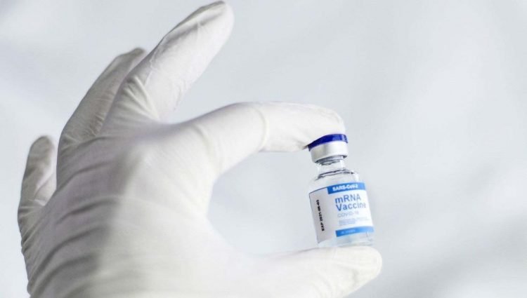 Ahora en hieleras con cerveza, así encontraron vacunas Pfizer «hechizas»