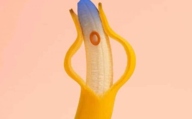 Estudio revela que el tamaño del pene está disminuyendo por la contaminación