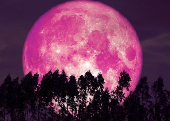 Así podrás ver la superluna rosa; uno de los fenómenos astronómicos más increíbles del año