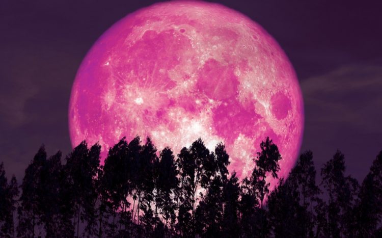 Así podrás ver la superluna rosa; uno de los fenómenos astronómicos más increíbles del año