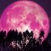 Así podrás ver la superluna rosa; uno de los fenómenos astronómicos más increíbles del año
