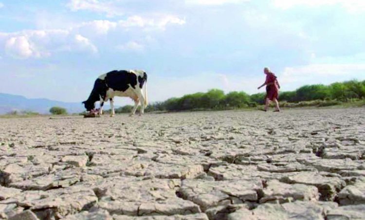 Entra Tamaulipas en sequía moderada