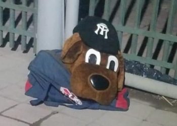 Roban botarga del ‘Perro Sultán’ y después la regresan