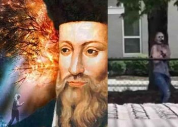 Mujer zombie aparece en Seattle | VIDEO