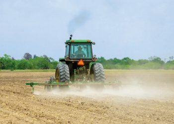 Se agudiza sequía en la frontera norte