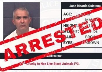 Arrestan a sujeto por crueldad animal