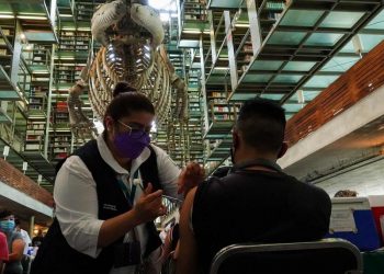 Cuarentones recibirían vacuna contra covid-19 a mediados de junio