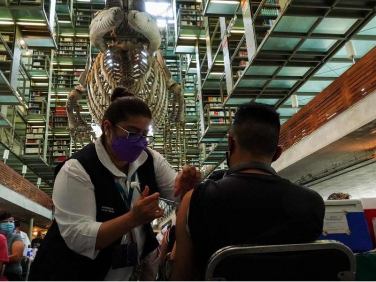 Cuarentones recibirían vacuna contra covid-19 a mediados de junio