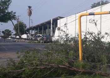 Revelan saldo de la tormenta del lunes