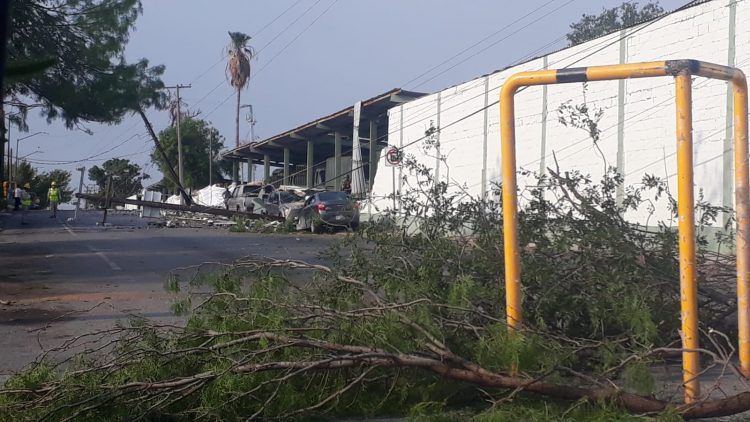Revelan saldo de la tormenta del lunes