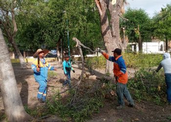 Abrirán parques y plazas este fin de semana